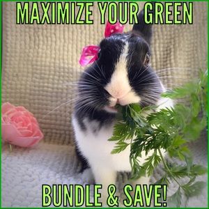 🌿 Bundle items to Maximize your Green 🌿
